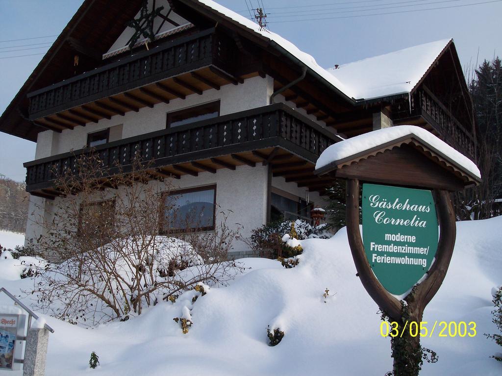 Gaestehaus Cornelia Wildensee エクステリア 写真