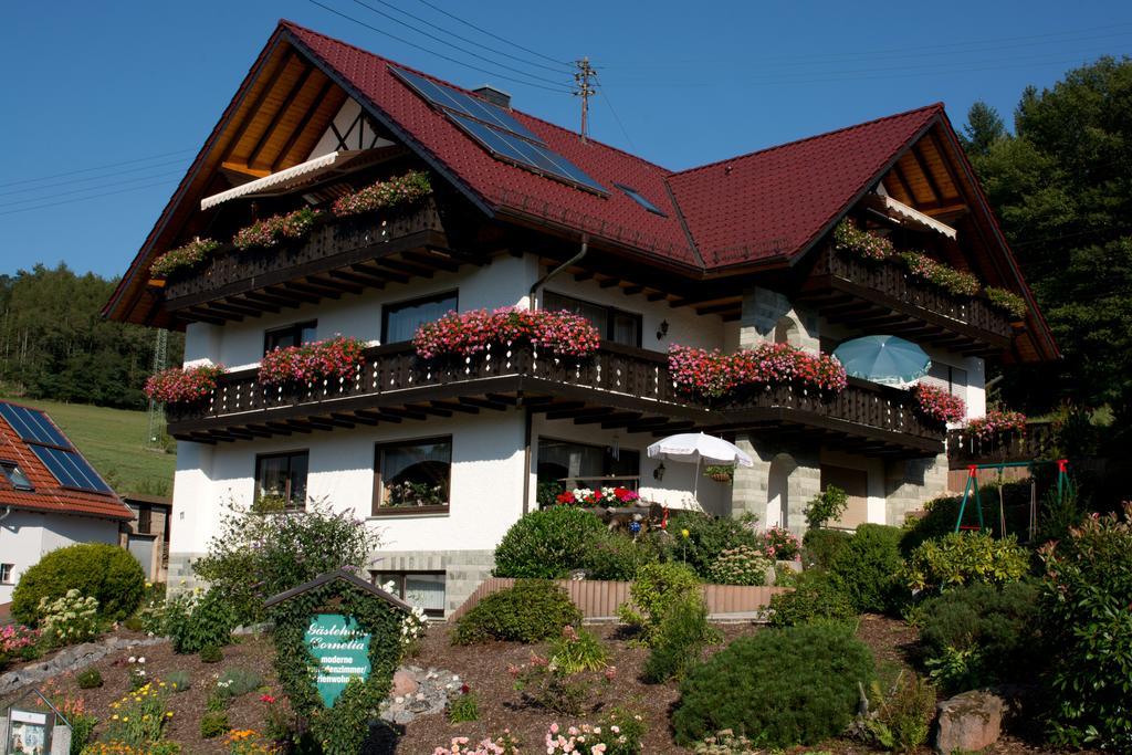 Gaestehaus Cornelia Wildensee エクステリア 写真